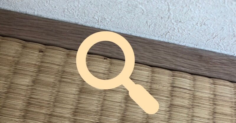 蟻を家中で発見